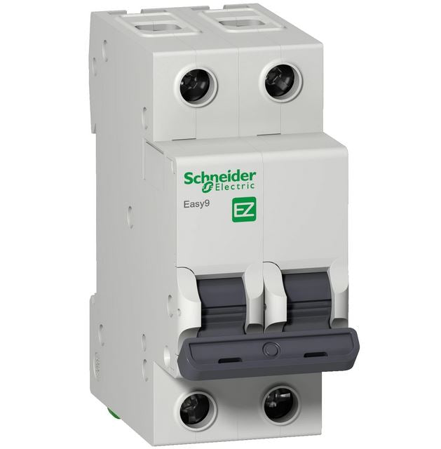 Interruptor termomagnetico EASY9 de 2 Polos 40A riel DIN - Schneider